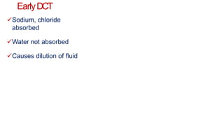 EarlyDCT
Sodium, chloride
absorbed
Water not absorbed
Causes dilution of fluid
 