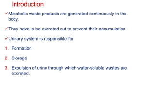 Introduction
Metabolic waste products are generated continuously in the
body.
They have to be excreted out to prevent their accumulation.
Urinary system is responsible for
1. Formation
2. Storage
3. Expulsion of urine through which water-soluble wastes are
excreted.
 