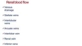Renalblood flow
Venous
drainage
Stellate veins
Interlobular
veins
Arcuate veins
Interlobar vein
Renal vein
Inferior vena
 