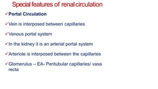 Specialfeatures of renalcirculation
Portal Circulation
Vein is interposed between capillaries
Venous portal system
In the kidney it is an arterial portal system
Arteriole is interposed between the capillaries
Glomerulus – EA- Peritubular capillaries/ vasa
recta
 