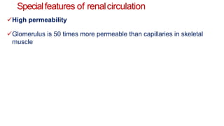 Specialfeatures of renalcirculation
High permeability
Glomerulus is 50 times more permeable than capillaries in skeletal
muscle
 