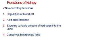 Functions of kidney
Non-excretory functions
1. Regulation of blood pH
2. Acid-base balance
3. Excretes variable amount of hydrogen into the
urine
4. Conserves bicarbonate ions
 
