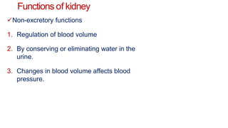 Functions of kidney
Non-excretory functions
1. Regulation of blood volume
2. By conserving or eliminating water in the
urine.
3. Changes in blood volume affects blood
pressure.
 