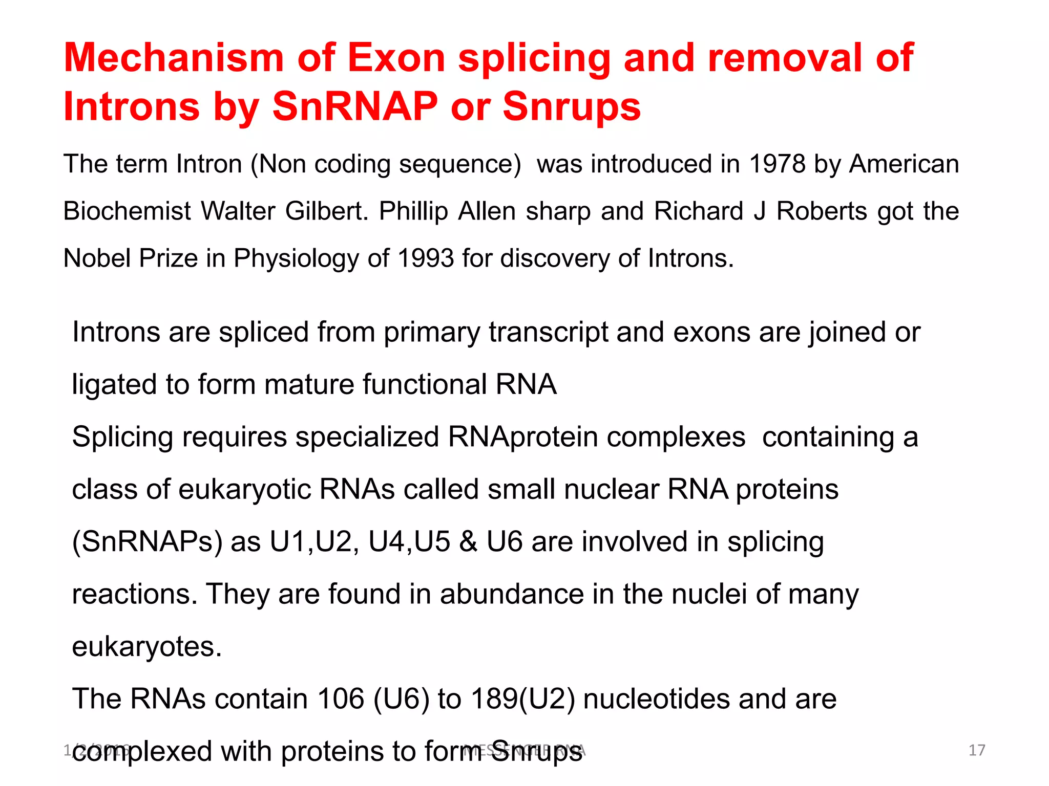 1/2/2016 MESSENGER RNA 17
Mechanism of Exon splicing and removal of
Introns by SnRNAP or Snrups
The term Intron (Non coding sequence) was introduced in 1978 by American
Biochemist Walter Gilbert. Phillip Allen sharp and Richard J Roberts got the
Nobel Prize in Physiology of 1993 for discovery of Introns.
Introns are spliced from primary transcript and exons are joined or
ligated to form mature functional RNA
Splicing requires specialized RNAprotein complexes containing a
class of eukaryotic RNAs called small nuclear RNA proteins
(SnRNAPs) as U1,U2, U4,U5 & U6 are involved in splicing
reactions. They are found in abundance in the nuclei of many
eukaryotes.
The RNAs contain 106 (U6) to 189(U2) nucleotides and are
complexed with proteins to form Snrups
 