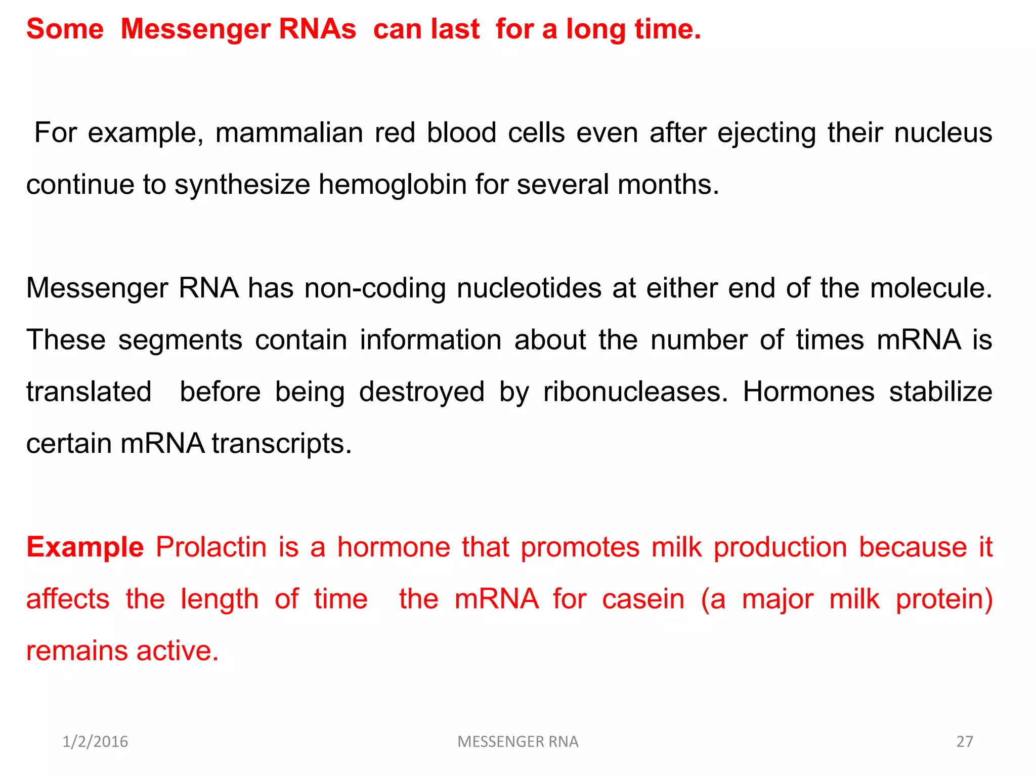 1/2/2016 MESSENGER RNA 27
Some Messenger RNAs can last for a long time.
For example, mammalian red blood cells even after ejecting their nucleus
continue to synthesize hemoglobin for several months.
Messenger RNA has non-coding nucleotides at either end of the molecule.
These segments contain information about the number of times mRNA is
translated before being destroyed by ribonucleases. Hormones stabilize
certain mRNA transcripts.
Example Prolactin is a hormone that promotes milk production because it
affects the length of time the mRNA for casein (a major milk protein)
remains active.
 