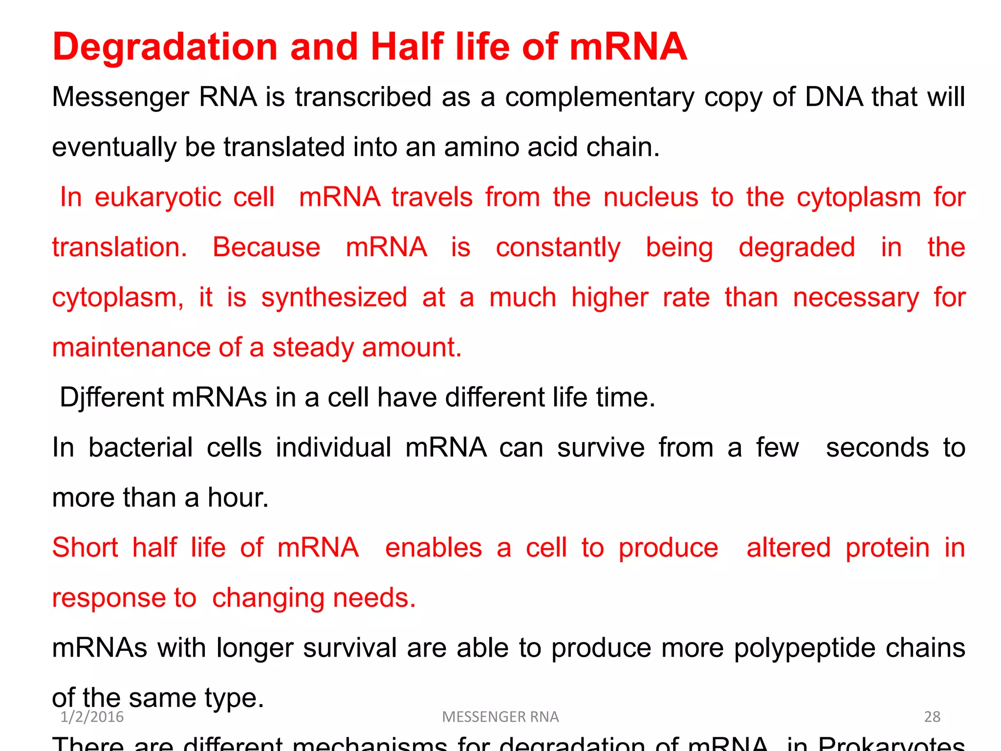 1/2/2016 MESSENGER RNA 28
Degradation and Half life of mRNA
Messenger RNA is transcribed as a complementary copy of DNA that will
eventually be translated into an amino acid chain.
In eukaryotic cell mRNA travels from the nucleus to the cytoplasm for
translation. Because mRNA is constantly being degraded in the
cytoplasm, it is synthesized at a much higher rate than necessary for
maintenance of a steady amount.
Djfferent mRNAs in a cell have different life time.
In bacterial cells individual mRNA can survive from a few seconds to
more than a hour.
Short half life of mRNA enables a cell to produce altered protein in
response to changing needs.
mRNAs with longer survival are able to produce more polypeptide chains
of the same type.
 