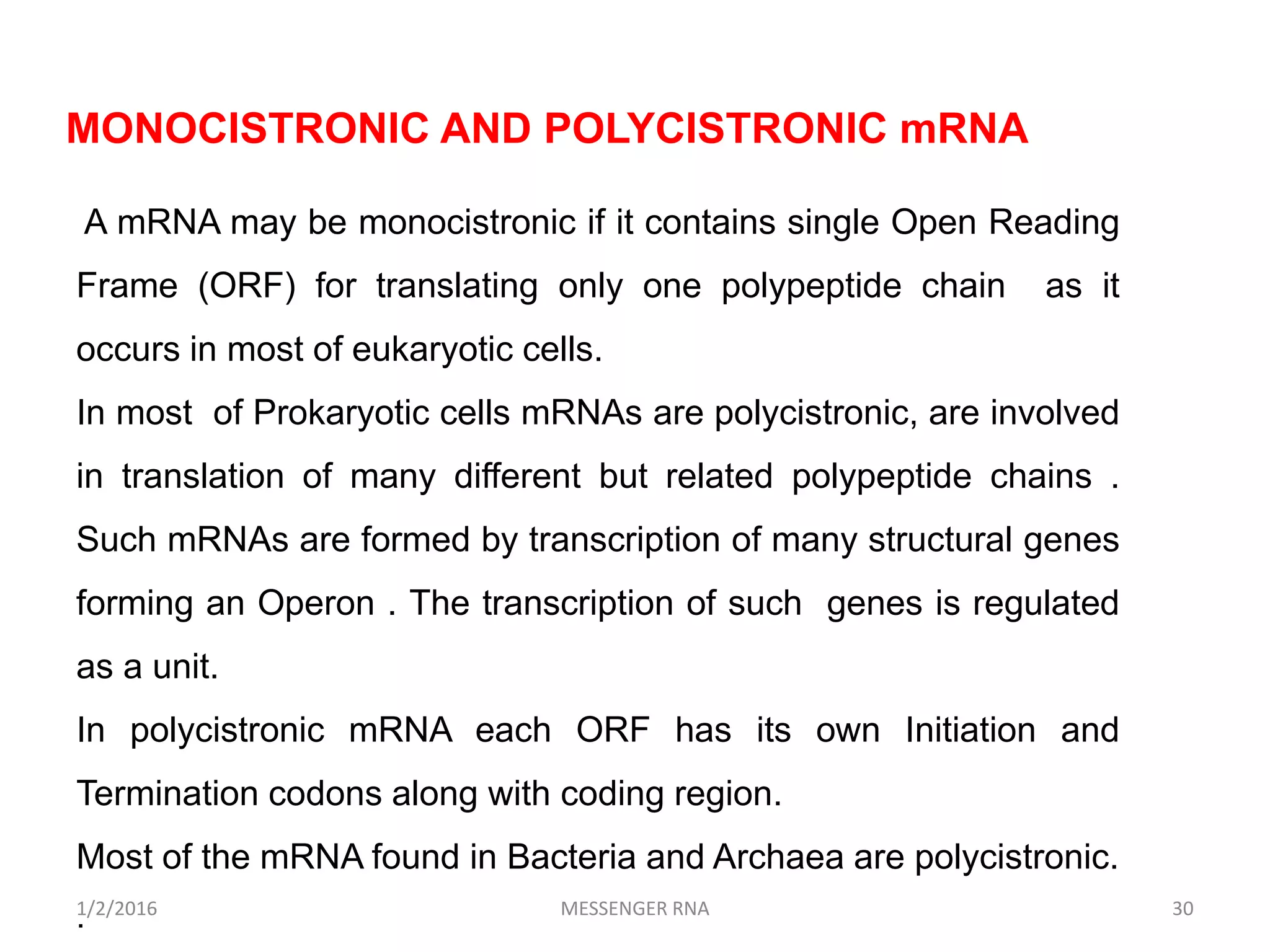 1/2/2016 MESSENGER RNA 30
MONOCISTRONIC AND POLYCISTRONIC mRNA
A mRNA may be monocistronic if it contains single Open Reading
Frame (ORF) for translating only one polypeptide chain as it
occurs in most of eukaryotic cells.
In most of Prokaryotic cells mRNAs are polycistronic, are involved
in translation of many different but related polypeptide chains .
Such mRNAs are formed by transcription of many structural genes
forming an Operon . The transcription of such genes is regulated
as a unit.
In polycistronic mRNA each ORF has its own Initiation and
Termination codons along with coding region.
Most of the mRNA found in Bacteria and Archaea are polycistronic.
.
 