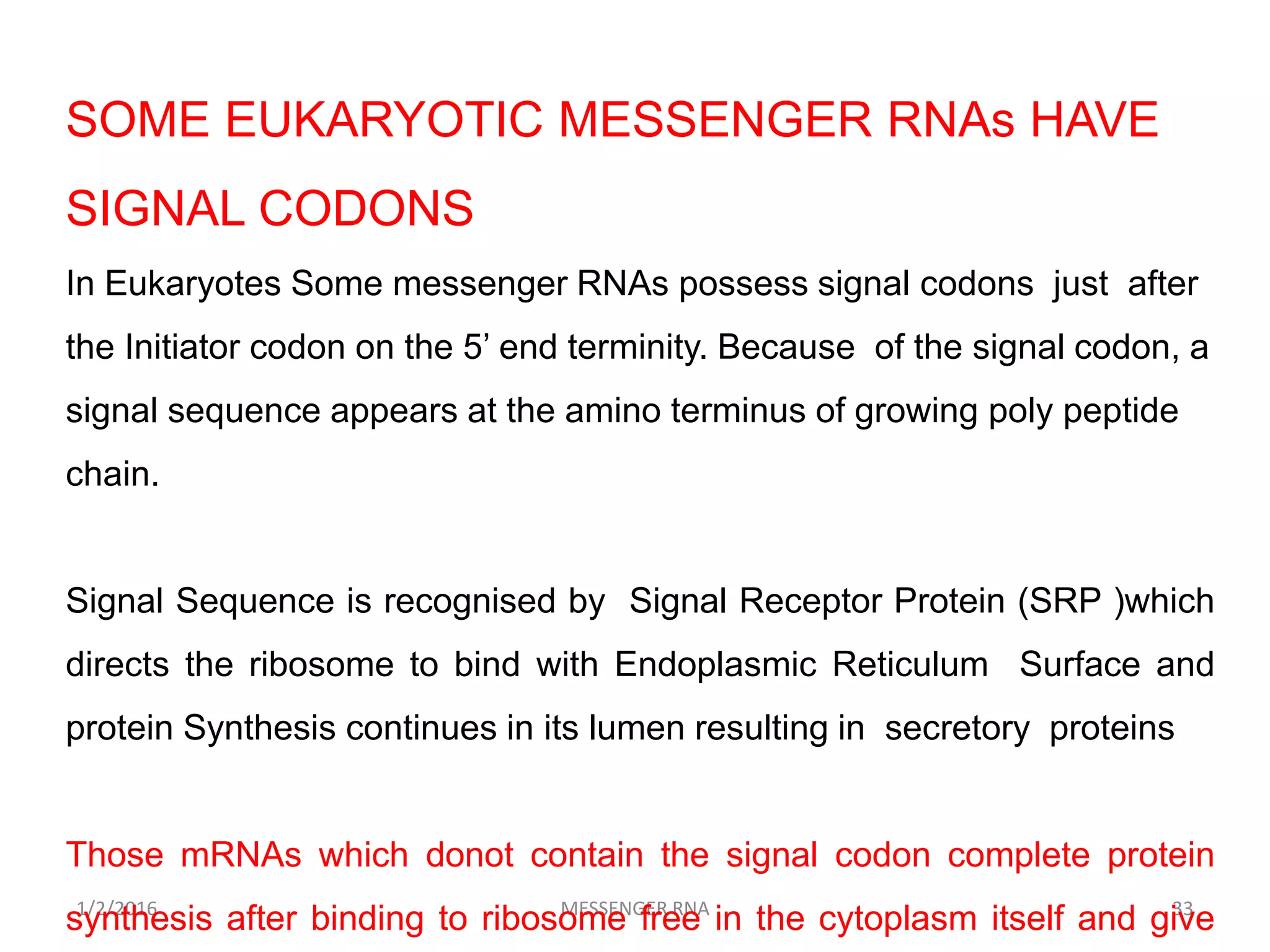 1/2/2016 MESSENGER RNA 33
SOME EUKARYOTIC MESSENGER RNAs HAVE
SIGNAL CODONS
In Eukaryotes Some messenger RNAs possess signal codons just after
the Initiator codon on the 5’ end terminity. Because of the signal codon, a
signal sequence appears at the amino terminus of growing poly peptide
chain.
Signal Sequence is recognised by Signal Receptor Protein (SRP )which
directs the ribosome to bind with Endoplasmic Reticulum Surface and
protein Synthesis continues in its lumen resulting in secretory proteins
Those mRNAs which donot contain the signal codon complete protein
synthesis after binding to ribosome free in the cytoplasm itself and give
 