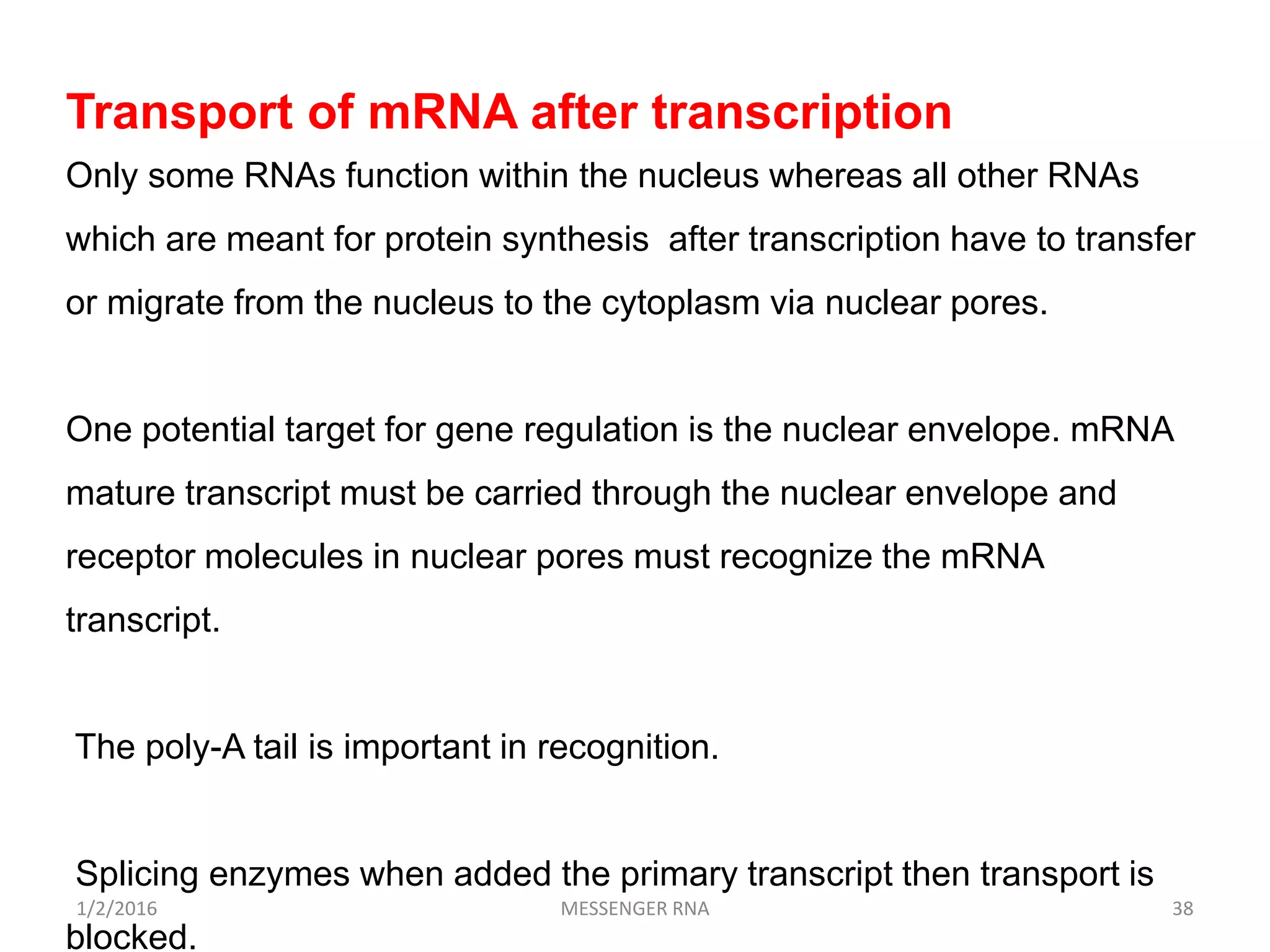 1/2/2016 MESSENGER RNA 38
Transport of mRNA after transcription
Only some RNAs function within the nucleus whereas all other RNAs
which are meant for protein synthesis after transcription have to transfer
or migrate from the nucleus to the cytoplasm via nuclear pores.
One potential target for gene regulation is the nuclear envelope. mRNA
mature transcript must be carried through the nuclear envelope and
receptor molecules in nuclear pores must recognize the mRNA
transcript.
The poly-A tail is important in recognition.
Splicing enzymes when added the primary transcript then transport is
blocked.
 