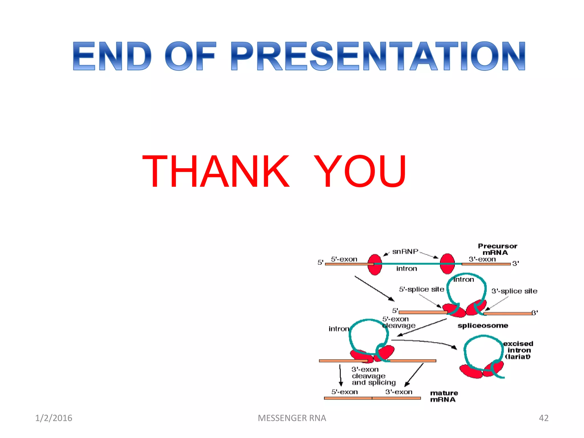 1/2/2016 MESSENGER RNA 42
THANK YOU
 