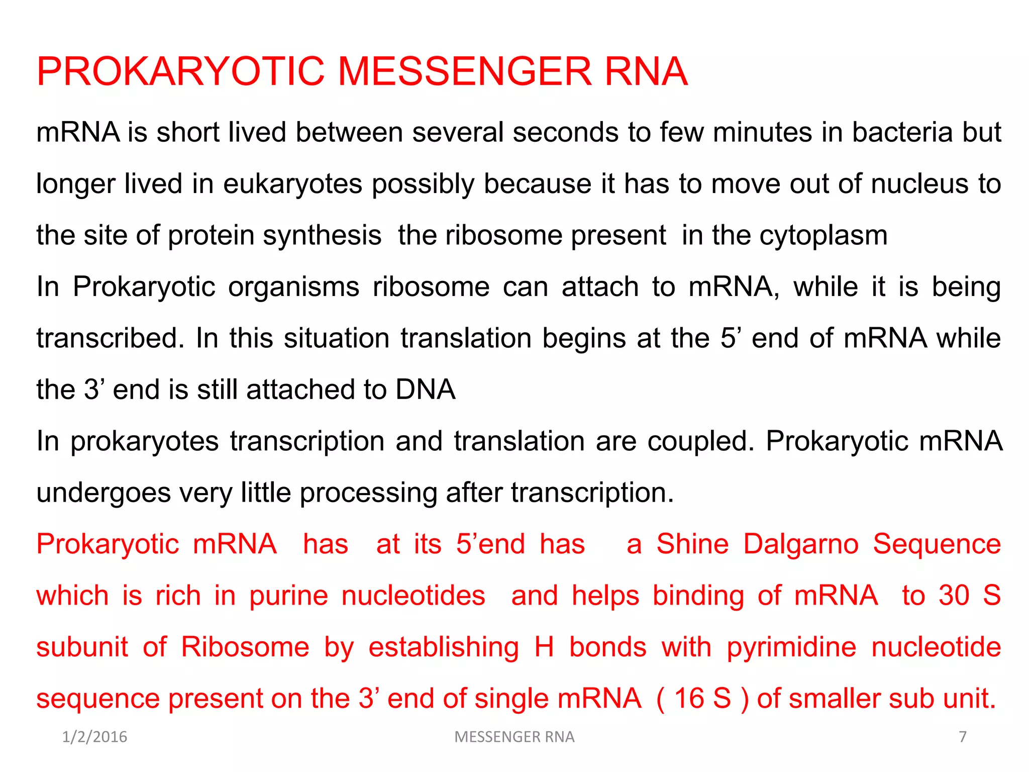 PROKARYOTIC MESSENGER RNA
mRNA is short lived between several seconds to few minutes in bacteria but
longer lived in eukaryotes possibly because it has to move out of nucleus to
the site of protein synthesis the ribosome present in the cytoplasm
In Prokaryotic organisms ribosome can attach to mRNA, while it is being
transcribed. In this situation translation begins at the 5’ end of mRNA while
the 3’ end is still attached to DNA
In prokaryotes transcription and translation are coupled. Prokaryotic mRNA
undergoes very little processing after transcription.
Prokaryotic mRNA has at its 5’end has a Shine Dalgarno Sequence
which is rich in purine nucleotides and helps binding of mRNA to 30 S
subunit of Ribosome by establishing H bonds with pyrimidine nucleotide
sequence present on the 3’ end of single mRNA ( 16 S ) of smaller sub unit.
7MESSENGER RNA1/2/2016
 