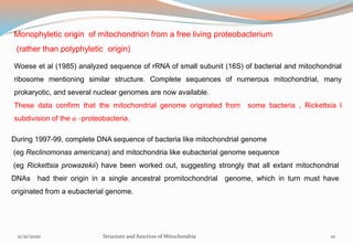 Monophyletic origin of mitochondrion from a free living proteobacterium
(rather than polyphyletic origin)
Woese et al (1985) analyzed sequence of rRNA of small subunit (16S) of bacterial and mitochondrial
ribosome mentioning similar structure. Complete sequences of numerous mitochondrial, many
prokaryotic, and several nuclear genomes are now available.
These data confirm that the mitochondrial genome originated from some bacteria , Rickettsia l
subdivision of the α –proteobacteria.
During 1997-99, complete DNA sequence of bacteria like mitochondrial genome
(eg Reclinomonas americana) and mitochondria like eubacterial genome sequence
(eg Rickettsia prowazekii) have been worked out, suggesting strongly that all extant mitochondrial
DNAs had their origin in a single ancestral promitochondrial genome, which in turn must have
originated from a eubacterial genome.
11/21/2020 Structure and function of Mitochondria 10
 