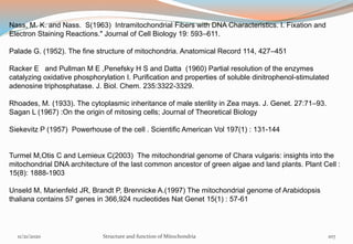 Nass, M. K. and Nass. S(1963) Intramitochondrial Fibers with DNA Characteristics. I. Fixation and
Electron Staining Reactions." Journal of Cell Biology 19: 593–611.
Palade G. (1952). The fine structure of mitochondria. Anatomical Record 114, 427–451
Racker E and Pullman M E ,Penefsky H S and Datta (1960) Partial resolution of the enzymes
catalyzing oxidative phosphorylation I. Purification and properties of soluble dinitrophenol-stimulated
adenosine triphosphatase. J. Biol. Chem. 235:3322-3329.
Rhoades, M. (1933). The cytoplasmic inheritance of male sterility in Zea mays. J. Genet. 27:71–93.
Sagan L (1967) :On the origin of mitosing cells; Journal of Theoretical Biology
Siekevitz P (1957) Powerhouse of the cell . Scientific American Vol 197(1) : 131-144
Turmel M,Otis C and Lemieux C(2003) The mitochondrial genome of Chara vulgaris: insights into the
mitochondrial DNA architecture of the last common ancestor of green algae and land plants. Plant Cell :
15(8): 1888-1903
Unseld M, Marienfeld JR, Brandt P, Brennicke A.(1997) The mitochondrial genome of Arabidopsis
thaliana contains 57 genes in 366,924 nucleotides Nat Genet 15(1) : 57-61
11/21/2020 Structure and function of Mitochondria 107
 