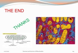 THE END
11/21/2020 Structure and function of Mitochondria 109
 