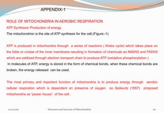 ROLE OF MITOCHONDRIA IN AEROBIC RESPIRATION
ATP Synthesis/ Production of energy
The mitochondrion is the site of ATP synthesis for the cell.(Figure:-1)
ATP is produced in mitochondria through a series of reactions ( Krebs cycle) which takes place on
the folds or cristae of the inner membrane resulting in formation of chemicals as NADH2 and FADH2
which are oxldized through electron transport chain to produce ATP (oxidative phosphorylation ) .
In molecules of ATP, energy is stored in the form of chemical bonds, when these chemical bonds are
broken, the energy released can be used.
The most primary and important function of mitochondria is to produce energy through aerobic
cellular respiration which is dependent on presence of oxygen so Seikevitz (1957) proposed
mitochondria as “power house” of the cell .
11/21/2020 Structure and function of Mitochondria 110
APPENDIX-1
 
