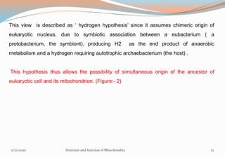 This view is described as ‘ hydrogen hypothesis’ since it assumes chimeric origin of
eukaryotic nucleus, due to symbiotic association between a eubacterium ( a
protobacterium, the symbiont), producing H2 as the end product of anaerobic
metabolism and a hydrogen requiring autotrophic archaebacterium (the host) .
This hypothesis thus allows the possibility of simultaneous origin of the ancestor of
eukaryotic cell and its mitochondrion. (Figure:- 2)
11/21/2020 Structure and function of Mitochondria 12
 