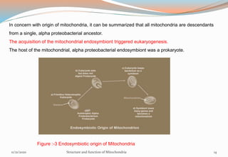 In concern with origin of mitochondria, it can be summarized that all mitochondria are descendants
from a single, alpha proteobacterial ancestor.
The acquisition of the mitochondrial endosymbiont triggered eukaryogenesis.
The host of the mitochondrial, alpha proteobacterial endosymbiont was a prokaryote.
Figure :-3 Endosymbiotic origin of Mitochondria
11/21/2020 Structure and function of Mitochondria 14
 