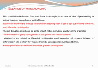 ISOLATION OF MITOCHONDRIA.
Mitochondria can be isolated from plant tissue for example potato tuber or roots of pea seedling or
animal tissue as mouse liver or skeletal tissue.
Isolation of mitochondria involves cell disruption (breaking open of cell to spill out contents within cell)
and differential centrifugation.
The cell disruption step should be gentle enough not as to mutilate structure of the organelles
The fresh tissue is gently homogenized to disrupt cells and release contents.
Mitochondria are pelleted by differential centrifugation, which separates cell components based on
differences in rate at which they may sediment by using specific solvents and buffers.
Further purification is carried out by sucrose gradient centrifugation.
11/21/2020 Structure and function of Mitochondria 16
 