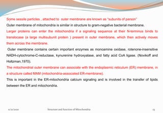 .Some sessile particles , attached to outer membrane are known as “subunits of parson”
Outer membrane of mitochondria is similar in structure to gram-negative bacterial membrane.
Larger proteins can enter the mitochondria if a signaling sequence at their N-terminus binds to
translocase (a large multisubunit protein ) present in outer membrane, which then actively moves
them across the membrane.
Outer membrane contains certain important enzymes as monoamine oxidase, rotenone-insensitive
NADH-cytochrome-C-reductase, kynurenine hydroxyalase, and fatty acid CoA ligase. (Novikoff and
Holtzman,1970).
The mitochondrial outer membrane can associate with the endoplasmic reticulum (ER) membrane, in
a structure called MAM (mitochondria-associated ER-membrane).
This is important in the ER-mitochondria calcium signaling and is involved in the transfer of lipids
between the ER and mitochondria.
11/21/2020 Structure and function of Mitochondria 23
 