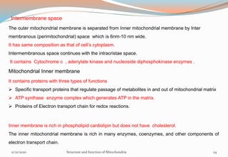 Intermembrane space
The outer mitochondrial membrane is separated from Inner mitochondrial membrane by Inter
membranous (perimitochondrial) space which is 6nm-10 nm wide.
It has same composition as that of cell’s cytoplasm.
Intermembranous space continues with the intracristae space.
It contains Cytochrome c , adenylate kinase and nucleoside diphosphokinase enzymes .
Mitochondrial Inner membrane
It contains proteins with three types of functions
 Specific transport proteins that regulate passage of metabolites in and out of mitochondrial matrix
 ATP synthase enzyme complex which generates ATP in the matrix.
 Proteins of Electron transport chain for redox reactions.
Inner membrane is rich in phospholipid cardiolipin but does not have cholesterol.
The inner mitochondrial membrane is rich in many enzymes, coenzymes, and other components of
electron transport chain.
11/21/2020 Structure and function of Mitochondria 24
 