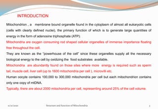 Mitochondrion , a membrane bound organelle found in the cytoplasm of almost all eukaryotic cells
(cells with clearly defined nuclei), the primary function of which is to generate large quantities of
energy in the form of adenosine triphosphate (ATP).
Mitochondria are oxygen consuming rod shaped cellular organelles of immense importance floating
free throughout the cell.
They are known as the “powerhouse of the cell” since these organelles supply all the necessary
biological energy to the cell by oxidizing the food substrates available.
Mitochondria are abundantly found on those sites where more energy is required such as sperm
tail, muscle cell, liver cell (up to 1600 mitochondria per cell ), microvilli etc.
Human oocyte contains 100,000 to 300,000 mitochondria per cell but each mitochondrion contains
only one copy of mtDNA.
Typically, there are about 2000 mitochondria per cell, representing around 25% of the cell volume.
INTRODUCTION
11/21/2020 Structure and function of Mitochondria 3
 