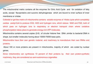 The mitochondrial matrix contains all the enzymes for Citric Acid Cycle and for oxidation of fatty
acids, except flavoproteins and succinic dehydrogenase which are bound to inner surface of inner
membrane or cristae.
Colloidal or gel like matrix of mitochondria contains soluble enzymes of Krebs cycle which completely
oxidize acetyl-CoA to produce CO2, H2O and hydrogen ions, which reduce NAD and FAD, both of
which pass on hydrogen ions to respiratory or electron transport chain where oxidative
phosphorylation takes place to generate energy-rich ATP molecules.
Mitochondria contains several copies (2-6) of circular histone free DNA ,similar to bacterial DNA in
shape ,but smaller molecules having about 15000-75000 base pairs.
Mitochondria have their own genetic material, and machinery to manufacture their own RNAs and
proteins.
About 100 or more proteins are present in mitochondria, majority of which are coded by nuclear
genes.
Since mitochondria can synthesize 10 percent of their proteins by their own protein-synthetic
machinery, they are considered as semi-autonomous organelles
11/21/2020 Structure and function of Mitochondria 30
 
