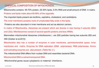 CHEMICAL COMPOSITION OF MITOCHONDIA
Mitochondria contains 65-70% protein, 25-30% lipids, 0.5% RNA and small amount of DNA in matrix.
Proteins and lipids make about 80-99% of the organelle.
The important lipids present are lecithins, cephalins, cholesterol, and cardiolipins.
The inner membrane possess more of unsaturated fatty acids in the lipids.
Proteins are also abundant in inner membrane and act as electron carriers.
In matrix of Mitochondria, ribosomes are present which are diverse in size having 2 subunits (SSU
and LSU). Mitoribosomes consist of several specific proteins and less rRNAs
Mammalian mitochondrial ribosomes (mitoribosome ) are 55S particles having two subunits 28S and
39S (Greber et al,2015)
Mitochondria also has a number of enzymes in outer membrane, perimitochondrial space, Inner
membrane and matrix. Enzymes for DNA replication (DNA polymerase), RNA polymerase, Amino
acid activating enzymes are also present. (Table No- 2 )
The mitochondrial DNA differs from nuclear DNA and resembles bacterial DNA.
Mitochondrial DNA is extrachromosomal DNA .
Mitochondrial genes cause cytoplasmic or maternal inheritance .
11/21/2020 Structure and function of Mitochondria 32
 