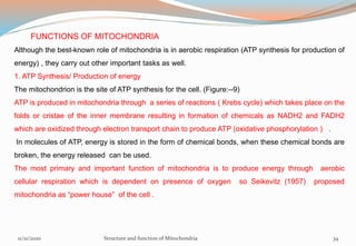 Although the best-known role of mitochondria is in aerobic respiration (ATP synthesis for production of
energy) , they carry out other important tasks as well.
1. ATP Synthesis/ Production of energy
The mitochondrion is the site of ATP synthesis for the cell. (Figure:--9)
ATP is produced in mitochondria through a series of reactions ( Krebs cycle) which takes place on the
folds or cristae of the inner membrane resulting in formation of chemicals as NADH2 and FADH2
which are oxidized through electron transport chain to produce ATP (oxidative phosphorylation ) .
In molecules of ATP, energy is stored in the form of chemical bonds, when these chemical bonds are
broken, the energy released can be used.
The most primary and important function of mitochondria is to produce energy through aerobic
cellular respiration which is dependent on presence of oxygen so Seikevitz (1957) proposed
mitochondria as “power house” of the cell .
FUNCTIONS OF MITOCHONDRIA
11/21/2020 Structure and function of Mitochondria 34
 