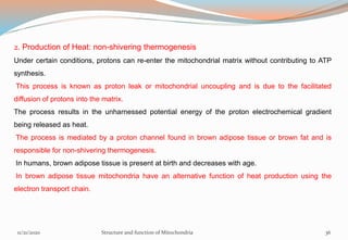2. Production of Heat: non-shivering thermogenesis
Under certain conditions, protons can re-enter the mitochondrial matrix without contributing to ATP
synthesis.
This process is known as proton leak or mitochondrial uncoupling and is due to the facilitated
diffusion of protons into the matrix.
The process results in the unharnessed potential energy of the proton electrochemical gradient
being released as heat.
The process is mediated by a proton channel found in brown adipose tissue or brown fat and is
responsible for non-shivering thermogenesis.
In humans, brown adipose tissue is present at birth and decreases with age.
In brown adipose tissue mitochondria have an alternative function of heat production using the
electron transport chain.
11/21/2020 Structure and function of Mitochondria 36
 