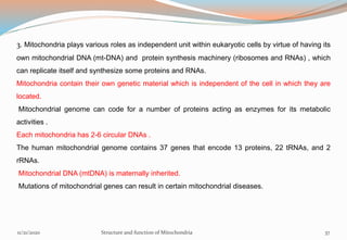 3. Mitochondria plays various roles as independent unit within eukaryotic cells by virtue of having its
own mitochondrial DNA (mt-DNA) and protein synthesis machinery (ribosomes and RNAs) , which
can replicate itself and synthesize some proteins and RNAs.
Mitochondria contain their own genetic material which is independent of the cell in which they are
located.
Mitochondrial genome can code for a number of proteins acting as enzymes for its metabolic
activities .
Each mitochondria has 2-6 circular DNAs .
The human mitochondrial genome contains 37 genes that encode 13 proteins, 22 tRNAs, and 2
rRNAs.
Mitochondrial DNA (mtDNA) is maternally inherited.
Mutations of mitochondrial genes can result in certain mitochondrial diseases.
11/21/2020 Structure and function of Mitochondria 37
 
