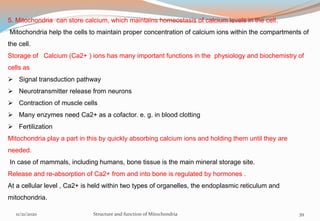 5. Mitochondria can store calcium, which maintains homeostasis of calcium levels in the cell.
Mitochondria help the cells to maintain proper concentration of calcium ions within the compartments of
the cell.
Storage of Calcium (Ca2+ ) ions has many important functions in the physiology and biochemistry of
cells as
 Signal transduction pathway
 Neurotransmitter release from neurons
 Contraction of muscle cells
 Many enzymes need Ca2+ as a cofactor. e. g. in blood clotting
 Fertilization
Mitochondria play a part in this by quickly absorbing calcium ions and holding them until they are
needed.
In case of mammals, including humans, bone tissue is the main mineral storage site.
Release and re-absorption of Ca2+ from and into bone is regulated by hormones .
At a cellular level , Ca2+ is held within two types of organelles, the endoplasmic reticulum and
mitochondria.
11/21/2020 Structure and function of Mitochondria 39
 
