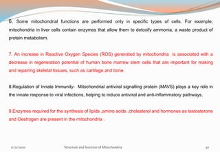 6. Some mitochondrial functions are performed only in specific types of cells. For example,
mitochondria in liver cells contain enzymes that allow them to detoxify ammonia, a waste product of
protein metabolism.
7. An increase in Reactive Oxygen Species (ROS) generated by mitochondria is associated with a
decrease in regeneration potential of human bone marrow stem cells that are important for making
and repairing skeletal tissues, such as cartilage and bone.
8.Regulation of Innate Immunity- Mitochondrial antiviral signalling protein (MAVS) plays a key role in
the innate response to viral infections, helping to induce antiviral and anti-inflammatory pathways.
9.Enzymes required for the synthesis of lipids ,amino acids ,cholesterol and hormones as testosterone
and Oestrogen are present in the mitochondria .
11/21/2020 Structure and function of Mitochondria 40
 