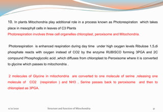 10. In plants Mitochondria play additional role in a process known as Photorespiration which takes
place in mesophyll cells in leaves of C3 Plants
Photorespiration involves three cell organelles chloroplast, peroxisome and Mitochondria.
Photorespiration is enhanced respiration during day time under high oxygen levels Ribulose 1,5,di
phosphate reacts with oxygen instead of CO2 by the enzyme RUBISCO forming 3PGA and 2C
compound Phosphoglycolic acid ,which diffuses from chloroplast to Peroxisome where it is converted
to glycine which passes to mitochondria .
2 molecules of Glycine in mitochondria are converted to one molecule of serine ,releasing one
molecule of CO2 (respiration ) and NH3 , Serine passes back to peroxisome and then to
chloroplast as 3PGA.
11/21/2020 Structure and function of Mitochondria 41
 