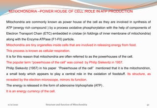 MITOCHONDRIA –POWER HOUSE OF CELL /ROLE IN ATP PRODUCTION
Mitochondria are commonly known as power house of the cell as they are involved in synthesis of
ATP (energy rich compound ) by a process oxidative phosphorylation with the help of components of
Electron Transport Chain (ETC) embedded in cristae (in foldings of inner membrane of mitochondria)
along with the Enzyme ATPase (F1-F0) particle.
Mitochondria are tiny organelles inside cells that are involved in releasing energy from food.
This process is known as cellular respiration.
It is for this reason that mitochondria are often referred to as the powerhouses of the cell.
The popular term “powerhouse of the cell” was coined by Philip Siekevitz in 1957.
Philip Siekevitz (1957) in his paper “Powerhouse of the cell” mentioned that it is the mitochondrion,
a small body which appears to play a central role in the oxidation of foodstuff. Its structure, as
revealed by the electron microscope, mirrors its function.
The energy is released in the form of adenosine triphosphate (ATP) .
It is an energy currency of the cell.
11/21/2020 Structure and function of Mitochondria 42
 