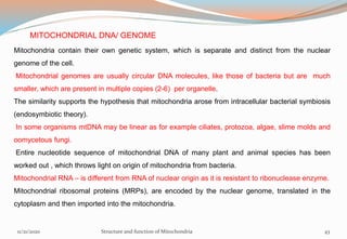 MITOCHONDRIAL DNA/ GENOME
Mitochondria contain their own genetic system, which is separate and distinct from the nuclear
genome of the cell.
Mitochondrial genomes are usually circular DNA molecules, like those of bacteria but are much
smaller, which are present in multiple copies (2-6) per organelle.
The similarity supports the hypothesis that mitochondria arose from intracellular bacterial symbiosis
(endosymbiotic theory).
In some organisms mtDNA may be linear as for example ciliates, protozoa, algae, slime molds and
oomycetous fungi.
Entire nucleotide sequence of mitochondrial DNA of many plant and animal species has been
worked out , which throws light on origin of mitochondria from bacteria.
Mitochondrial RNA – is different from RNA of nuclear origin as it is resistant to ribonuclease enzyme.
Mitochondrial ribosomal proteins (MRPs), are encoded by the nuclear genome, translated in the
cytoplasm and then imported into the mitochondria.
11/21/2020 Structure and function of Mitochondria 43
 