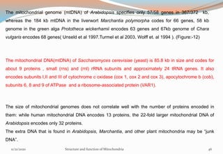 The mitochondrial DNA(mtDNA) of Saccharomyces cerevisiae (yeast) is 85.8 kb in size and codes for
about 9 proteins , small (rns) and (rnl) rRNA subunits and approximately 24 tRNA genes. It also
encodes subunits I,II and III of cytochrome c oxidase (cox 1, cox 2 and cox 3), apocytochrome b (cob),
subunits 6, 8 and 9 of ATPase and a ribosome-associated protein (VAR1).
The size of mitochondrial genomes does not correlate well with the number of proteins encoded in
them: while human mitochondrial DNA encodes 13 proteins, the 22-fold larger mitochondrial DNA of
Arabidopsis encodes only 32 proteins.
The extra DNA that is found in Arabidopsis, Marchantia, and other plant mitochondria may be “junk
DNA”.
11/21/2020 Structure and function of Mitochondria 46
The mitochondrial genome (mtDNA) of Arabidopsis specifies only 57/58 genes in 367/372 kb,
whereas the 184 kb mtDNA in the liverwort Marchantia polymorpha codes for 66 genes, 58 kb
genome in the green alga Prototheca wickerhamii encodes 63 genes and 67kb genome of Chara
vulgaris encodes 68 genes( Unseld et al 1997.Turmel et al 2003, Wolff et. al 1994 ). (Figure:-12)
 