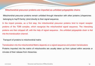 Mitochondrial precursor proteins are imported as unfolded polypeptide chains
Mitochondrial precursor proteins remain unfolded through interaction with other proteins (chaperones
belonging to hsp70 family ),bind directly to their signal sequence.
In the import process, as a first step, the mitochondrial precursor proteins bind to import receptor
proteins of the TOM complex, which recognize the mitochondrial signal sequence. The interacting
proteins are then stripped off, with the help of signal sequence , the unfolded polypeptide chain is fed
into the translocation channel.
Transport of proteins to mitochondrial matrix
Translocation into the mitochondrial Matrix depends on a signal sequence and protein translocators
Proteins imported into the matrix of mitochondria are usually taken up from cytosol within seconds or
minutes of their release from ribosomes.
11/21/2020 Structure and function of Mitochondria 55
 