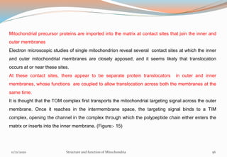 Mitochondrial precursor proteins are imported into the matrix at contact sites that join the inner and
outer membranes
Electron microscopic studies of single mitochondrion reveal several contact sites at which the inner
and outer mitochondrial membranes are closely apposed, and it seems likely that translocation
occurs at or near these sites.
At these contact sites, there appear to be separate protein translocators in outer and inner
membranes, whose functions are coupled to allow translocation across both the membranes at the
same time.
It is thought that the TOM complex first transports the mitochondrial targeting signal across the outer
membrane. Once it reaches in the intermembrane space, the targeting signal binds to a TIM
complex, opening the channel in the complex through which the polypeptide chain either enters the
matrix or inserts into the inner membrane. (Figure:- 15)
11/21/2020 Structure and function of Mitochondria 56
 