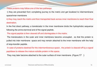 These proteins may follow one of the two pathways
i) they are prevented from completing journey to the matrix and get localized to intermembrane
space/inner membrane
ii) they may reach the matrix and then transported back across inner membrane to reach their final
destination.
In the first direct pathway, a translocator in the inner membrane binds the hydrophobic sequence
following the amino-terminal end of the signal peptide.
The signal peptide is then cleaved off and disintegrates in the matrix.
The translocators in the outer and inner membrane become uncoupled , so that the protein is
pulled into inter membrane space and may remain attached to the inner membrane with the help
of stop-transfer peptide.
In case of proteins destined for the intermembranous space , the protein is cleaved off by a signal
peptidase to release the mature soluble protein in the space.
They may later become attached to the outer surface of inner membrane. (Figure:17 )
11/21/2020 Structure and function of Mitochondria 61
 