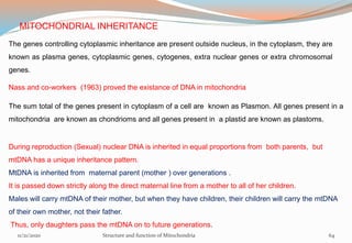 MITOCHONDRIAL INHERITANCE
The genes controlling cytoplasmic inheritance are present outside nucleus, in the cytoplasm, they are
known as plasma genes, cytoplasmic genes, cytogenes, extra nuclear genes or extra chromosomal
genes.
Nass and co-workers (1963) proved the existance of DNA in mitochondria
The sum total of the genes present in cytoplasm of a cell are known as Plasmon. All genes present in a
mitochondria are known as chondrioms and all genes present in a plastid are known as plastoms.
During reproduction (Sexual) nuclear DNA is inherited in equal proportions from both parents, but
mtDNA has a unique inheritance pattern.
MtDNA is inherited from maternal parent (mother ) over generations .
It is passed down strictly along the direct maternal line from a mother to all of her children.
Males will carry mtDNA of their mother, but when they have children, their children will carry the mtDNA
of their own mother, not their father.
Thus, only daughters pass the mtDNA on to future generations.
11/21/2020 Structure and function of Mitochondria 64
 