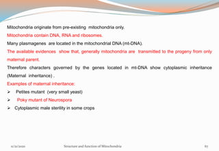 Mitochondria originate from pre-existing mitochondria only.
Mitochondria contain DNA, RNA and ribosomes.
Many plasmagenes are located in the mitochondrial DNA (mt-DNA).
The available evidences show that, generally mitochondria are transmitted to the progeny from only
maternal parent.
Therefore characters governed by the genes located in mt-DNA show cytoplasmic inheritance
(Maternal inheritance) .
Examples of maternal inheritance:
 Petites mutant (very small yeast)
 Poky mutant of Neurospora
 Cytoplasmic male sterility in some crops
11/21/2020 Structure and function of Mitochondria 67
 