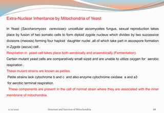 Extra-Nuclear Inheritance by Mitochondria of Yeast
In Yeast (Saccharomyces cerevisiae)- unicellular ascomycetes fungus, sexual reproduction takes
place by fusion of two somatic cells to form diploid zygote nucleus which divides by two successive
divisions (meiosis) forming four haploid daughter nuclei ,all of which take part in ascospore formation
in Zygote (ascus) cell .
Respiration in yeast cell takes place both aerobically and anaerobically (Fermentation).
Certain mutant yeast cells are comparatively small sized and are unable to utilize oxygen for aerobic
respiration .
These mutant strains are known as petites.
Petite strains lack cytochrome b and c and also enzyme cytochrome oxidase a and a3
for aerobic terminal respiration.
These components are present in the cell of normal strain where they are associated with the inner
membrane of mitochondria.
11/21/2020 Structure and function of Mitochondria 68
 
