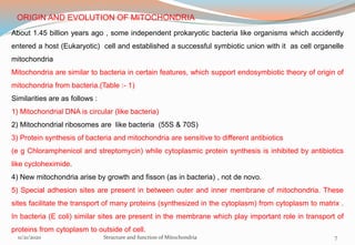 ORIGIN AND EVOLUTION OF MITOCHONDRIA
About 1.45 billion years ago , some independent prokaryotic bacteria like organisms which accidently
entered a host (Eukaryotic) cell and established a successful symbiotic union with it as cell organelle
mitochondria
Mitochondria are similar to bacteria in certain features, which support endosymbiotic theory of origin of
mitochondria from bacteria.(Table :- 1)
Similarities are as follows :
1) Mitochondrial DNA is circular (like bacteria)
2) Mitochondrial ribosomes are like bacteria (55S & 70S)
3) Protein synthesis of bacteria and mitochondria are sensitive to different antibiotics
(e g Chloramphenicol and streptomycin) while cytoplasmic protein synthesis is inhibited by antibiotics
like cycloheximide.
4) New mitochondria arise by growth and fisson (as in bacteria) , not de novo.
5) Special adhesion sites are present in between outer and inner membrane of mitochondria. These
sites facilitate the transport of many proteins (synthesized in the cytoplasm) from cytoplasm to matrix .
In bacteria (E coli) similar sites are present in the membrane which play important role in transport of
proteins from cytoplasm to outside of cell.
11/21/2020 Structure and function of Mitochondria 7
 