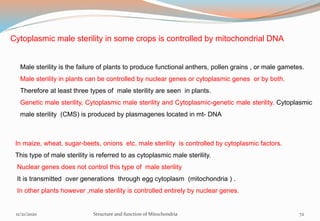 Cytoplasmic male sterility in some crops is controlled by mitochondrial DNA
Male sterility is the failure of plants to produce functional anthers, pollen grains , or male gametes.
Male sterility in plants can be controlled by nuclear genes or cytoplasmic genes or by both.
Therefore at least three types of male sterility are seen in plants.
Genetic male sterility, Cytoplasmic male sterility and Cytoplasmic-genetic male sterility. Cytoplasmic
male sterility (CMS) is produced by plasmagenes located in mt- DNA
In maize, wheat, sugar-beets, onions etc. male sterility is controlled by cytoplasmic factors.
This type of male sterility is referred to as cytoplasmic male sterility.
Nuclear genes does not control this type of male sterility
It is transmitted over generations through egg cytoplasm (mitochondria ) .
In other plants however ,male sterility is controlled entirely by nuclear genes.
11/21/2020 Structure and function of Mitochondria 72
 