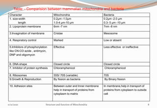 Character Mitochondria Bacteria
1. size-width
length
0.2μm -1.0μm
1.0-4 μm-10 μm
0.2μm -2.0 μm
0.3- 5 μm -10 μm
2. Lipoprotein membrane 6nm -7 nm 7nm -8 nm
3.Invagination of membrane Cristae Mesosome
4. Respiratory control Marked Low or absent
5.Inhibitors of phosphorylation
like CN-CO azide , antimycin,
DNP and oligomycin
Effective Less effective or ineffective
6. DNA shape Closed circle Closed circle
7. Inhibitor of protein synthesis Chloramphenicol Chloramphenicol
8. Ribosomes 55S/ 70S (variable) 70S
9.Growth & Reproduction By fission as bacteria By Binary fission
10. Adhesion sites Between outer and Inner membrane
help in transport of proteins from
cytoplasm to matrix
In membrane,help in transport of
proteins from cytoplasm to outside
cell
Table: - Comparision between mammalian mitochondria and bacteria
11/21/2020 Structure and function of Mitochondria 8
 