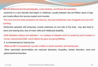 MELAS (Mitochondrial Encephalopathy, Lactic Acidosis, and Stroke-like episodes)
syndrome is a rare disorder that begins in childhood, usually between two and fifteen years of age,
and mostly affects the nervous system and muscles.
The most common early symptoms are seizures, recurrent headaches, loss of appetite and recurrent
vomiting.
Stroke-like episodes with temporary muscle weakness on one side of the body may also lead to
vision and hearing loss, loss of motor skills and intellectual disability.
DAD (Diabetes mellitus and deafness ) is a subtype of diabetes which is caused by point mutation in
human mitochondrial DNA which affects the gene encoding tRNAleu .
It is characterized by hearing loss
Maternal DD is characterized by both a defect in insulin secretion and hearing loss.
Other associated abnormalities are mascular dystrophy, myopathy, cardiac disorders, renal and
gastrointestinal disorders.
11/21/2020 Structure and function of Mitochondria 80
 