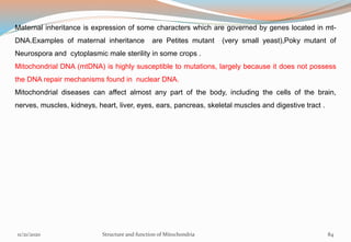 Maternal inheritance is expression of some characters which are governed by genes located in mt-
DNA.Examples of maternal inheritance are Petites mutant (very small yeast),Poky mutant of
Neurospora and cytoplasmic male sterility in some crops .
Mitochondrial DNA (mtDNA) is highly susceptible to mutations, largely because it does not possess
the DNA repair mechanisms found in nuclear DNA.
Mitochondrial diseases can affect almost any part of the body, including the cells of the brain,
nerves, muscles, kidneys, heart, liver, eyes, ears, pancreas, skeletal muscles and digestive tract .
11/21/2020 Structure and function of Mitochondria 84
 