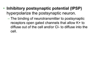 • Inhibitory postsynaptic potential (IPSP)
hyperpolarize the postsynaptic neuron.
– The binding of neurotransmitter to postsynaptic
receptors open gated channels that allow K+ to
diffuse out of the cell and/or Cl- to diffuse into the
cell.
 