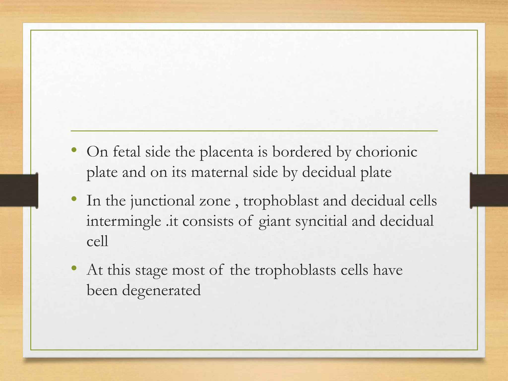 • On fetal side the placenta is bordered by chorionic
plate and on its maternal side by decidual plate
• In the junctional zone , trophoblast and decidual cells
intermingle .it consists of giant syncitial and decidual
cell
• At this stage most of the trophoblasts cells have
been degenerated
 