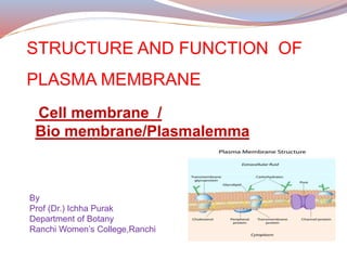 STRUCTURE AND FUNCTION OF
PLASMA MEMBRANE
Cell membrane /
Bio membrane/Plasmalemma
By
Prof (Dr.) Ichha Purak
Department of Botany
Ranchi Women’s College,Ranchi
 